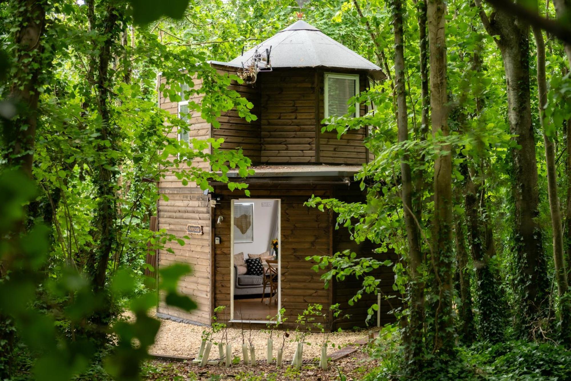 Willa Honeycombe - Treehouse In The Heart Of Dorset Blandford Forum Zewnętrze zdjęcie