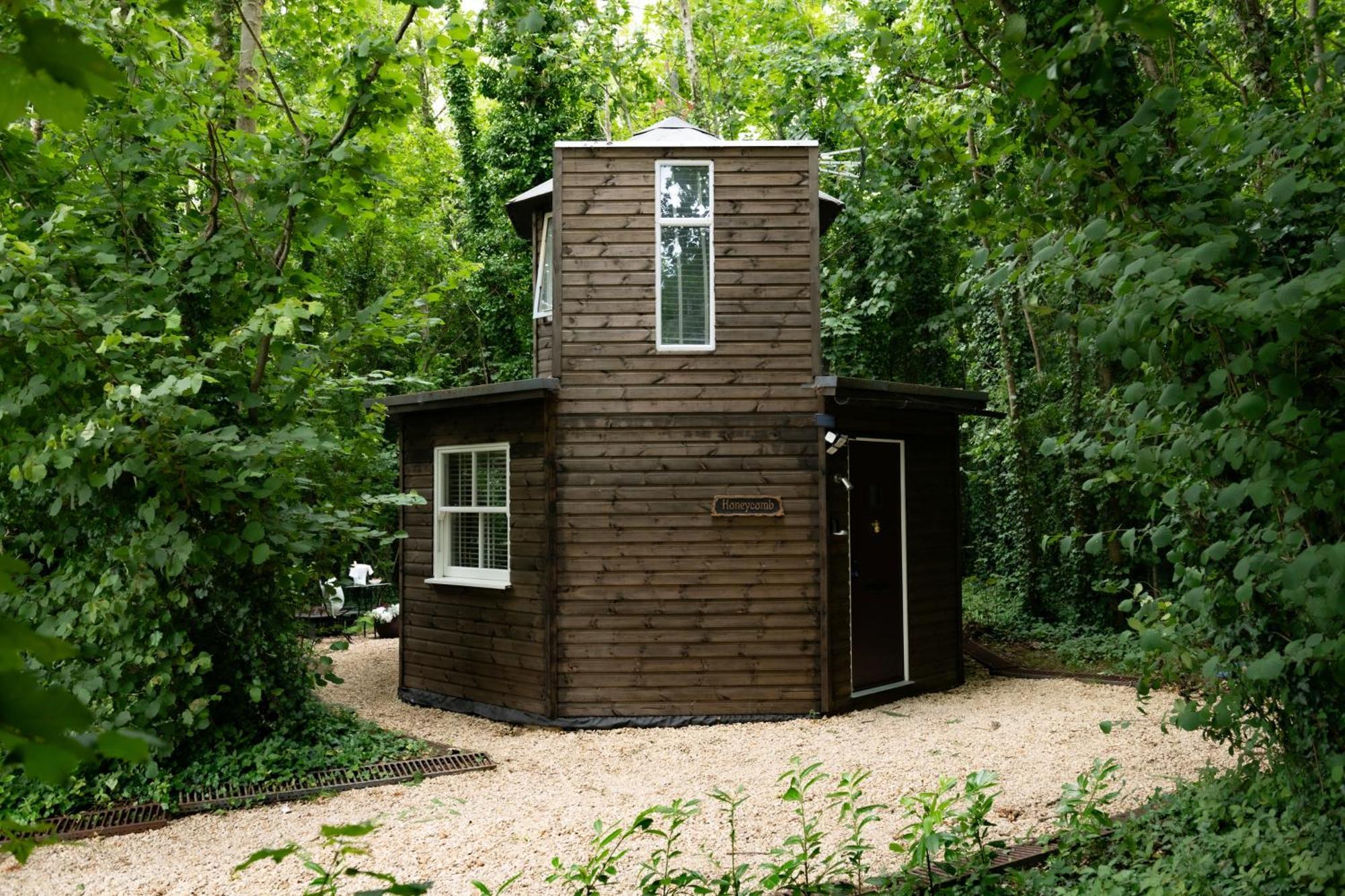 Willa Honeycombe - Treehouse In The Heart Of Dorset Blandford Forum Zewnętrze zdjęcie